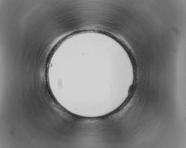 X0000112760830200910011214