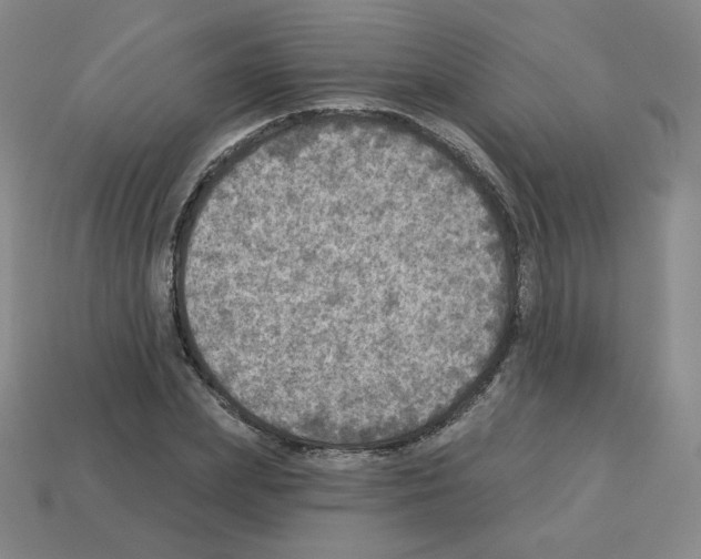 X0000112760831200910011214