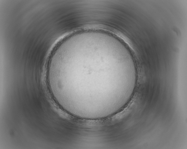 X0000112760832200910011214