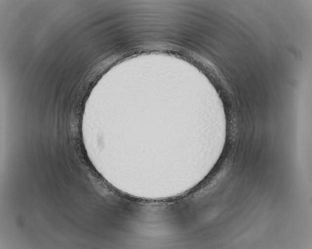 X0000112760833200910011214