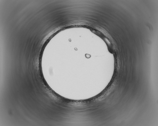 X0000112760834200910011214