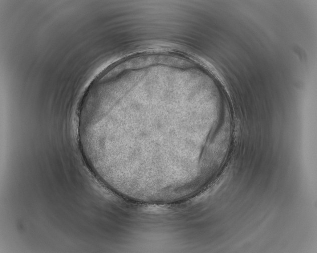 X0000112760835200910011214