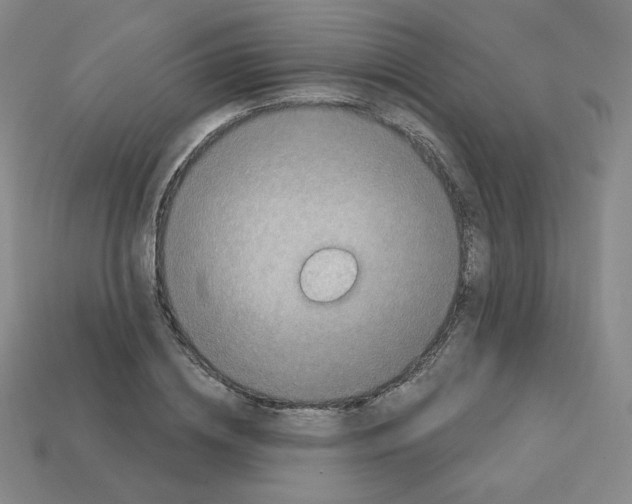 X0000112760836200910011214