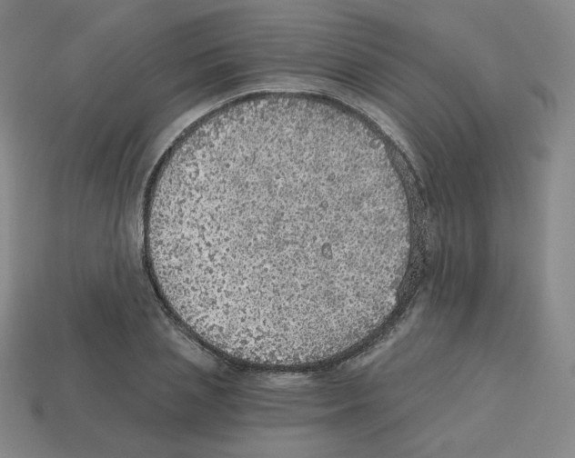 X0000112760837200910011214