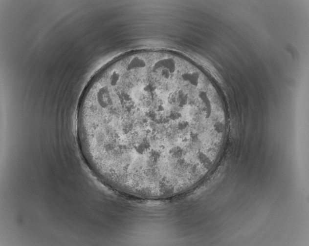 X0000112760839200910011214