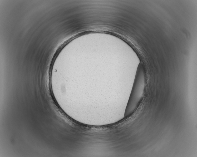 X0000112760840200910011214