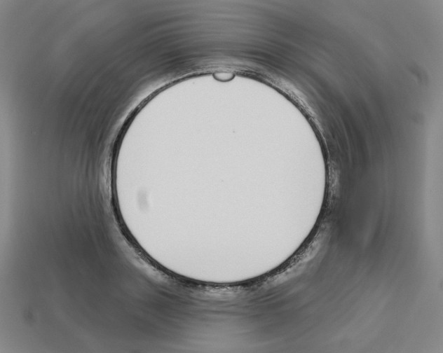 X0000112760843200910011214