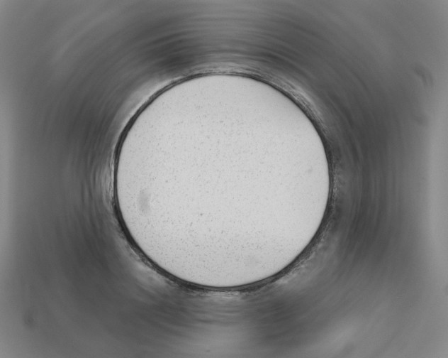 X0000112760844200910011214