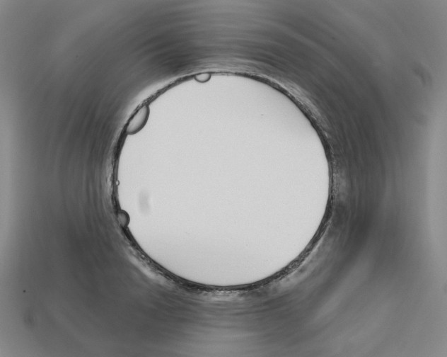 X0000112760846200910011214