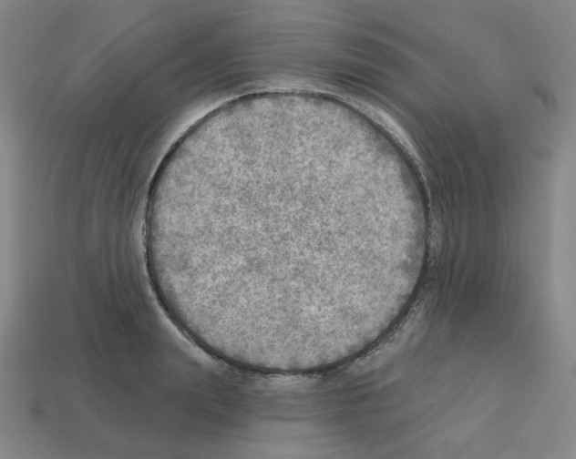 X0000112760847200910011214