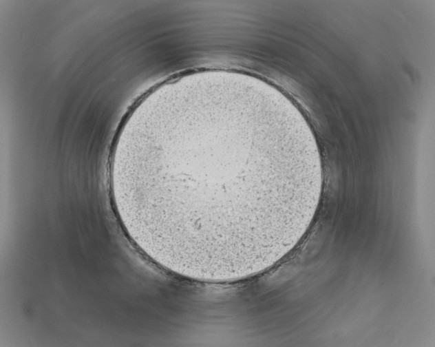 X0000112760848200910011214