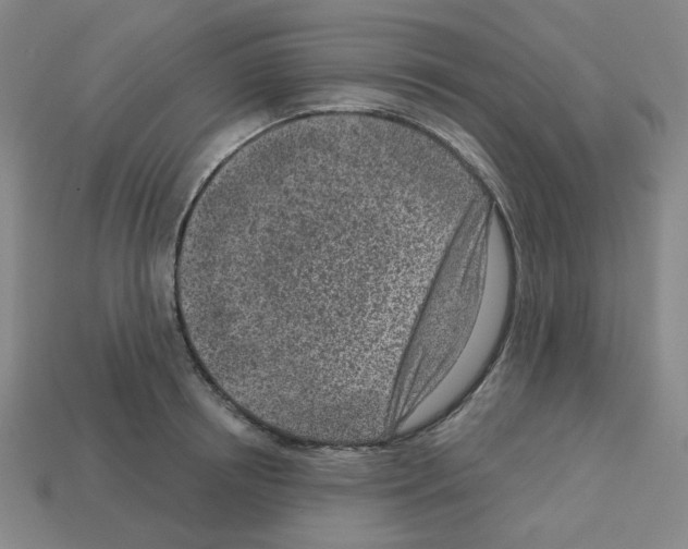 X0000112760850200910011214