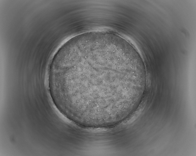 X0000112760851200910011214