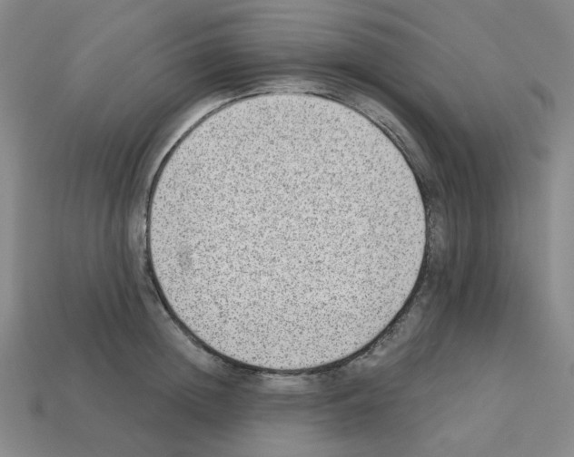 X0000112760852200910011214