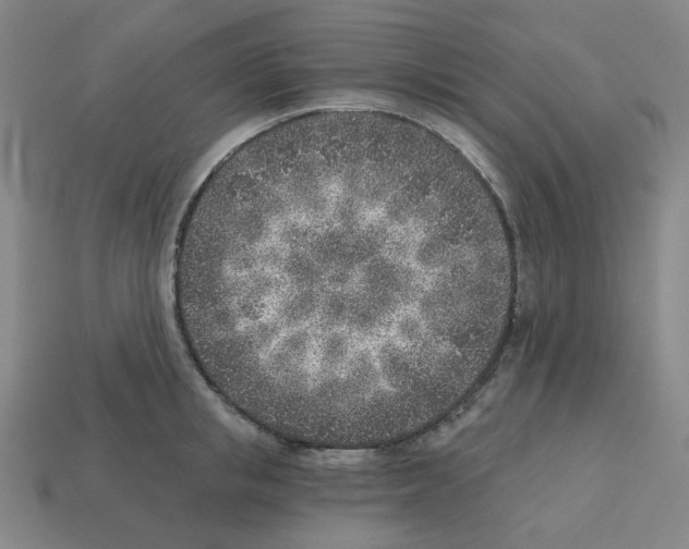 X0000112760853200910011214