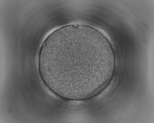 X0000112760854200910011214