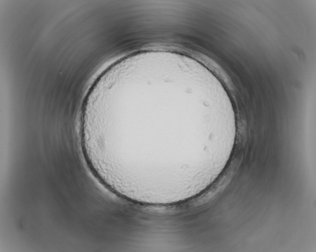 X0000112760855200910011214