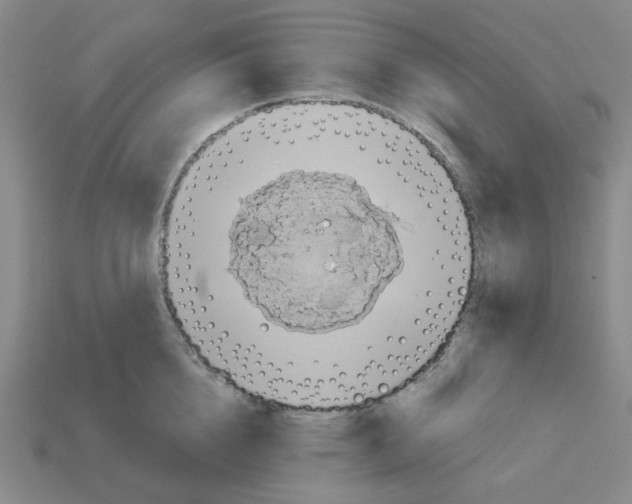 X0000112760856200910011214