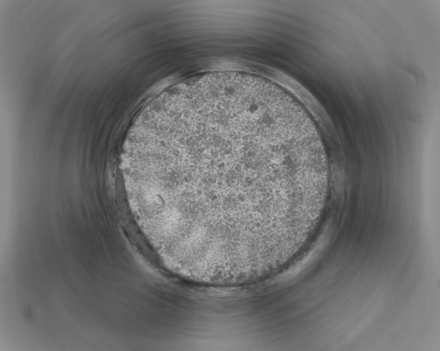 X0000112760857200910011214