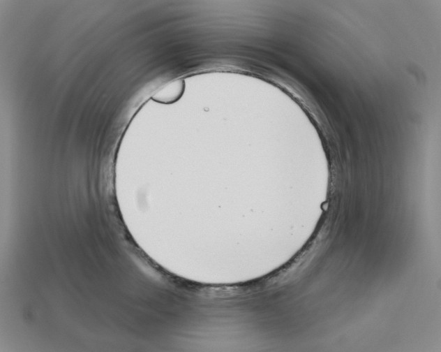 X0000112760858200910011214