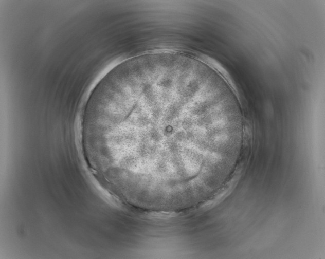 X0000112760859200910011214