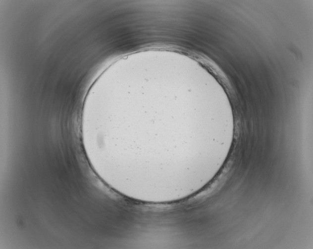 X0000112760860200910011214