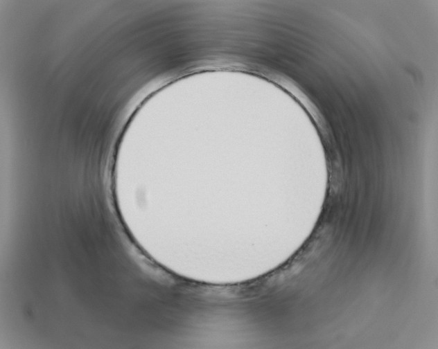 X0000112760861200910011214