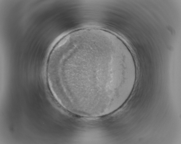 X0000112760864200910011214
