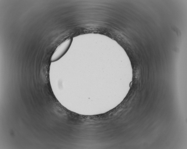 X0000112760868200910011214