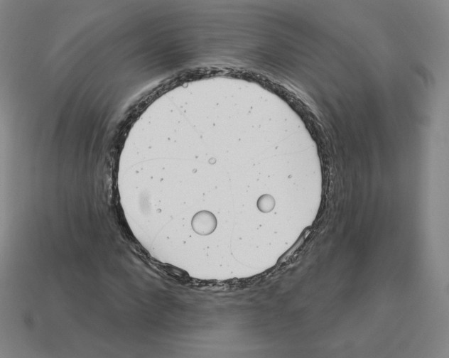 X0000112760872200910011213