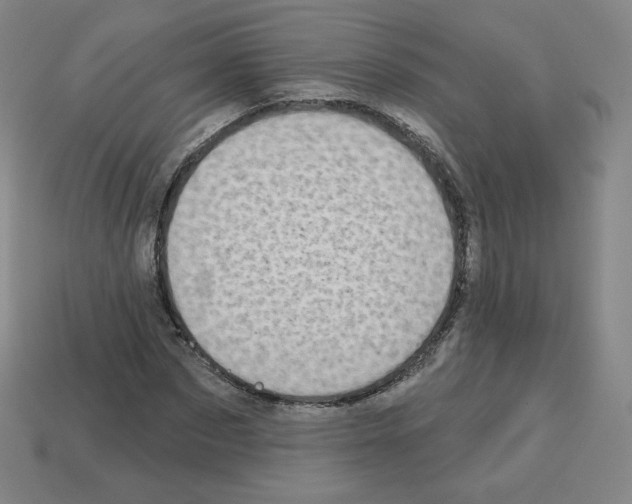X0000112760873200910011213