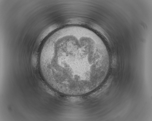 X0000112760874200910011213
