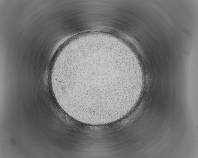 X0000112760875200910011213