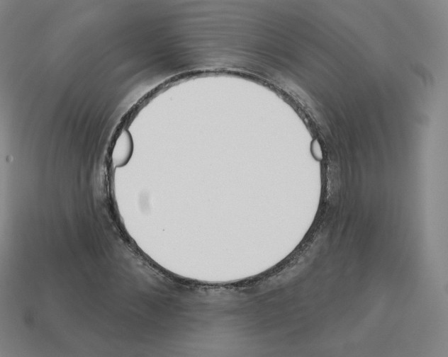 X0000112760876200910011213