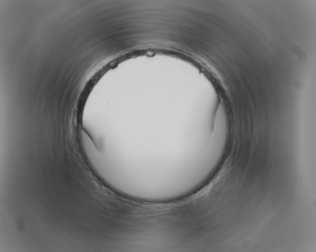 X0000112760877200910011213