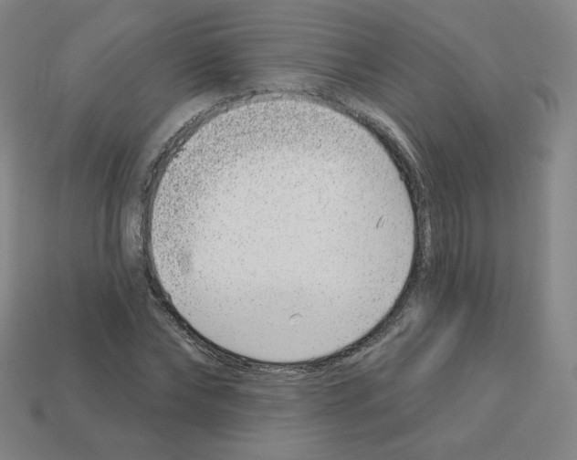 X0000112760878200910011213