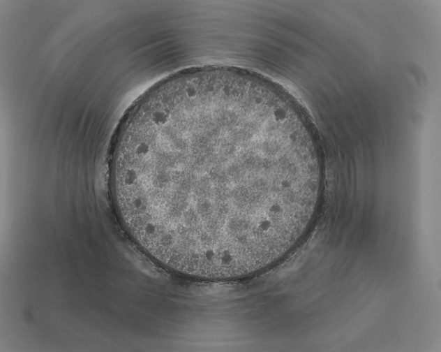 X0000112760879200910011213