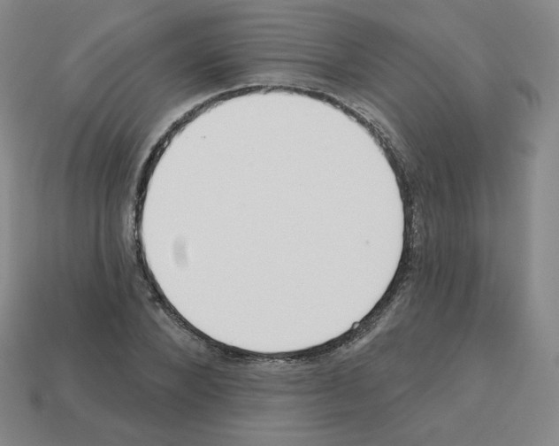 X0000112760880200910011213