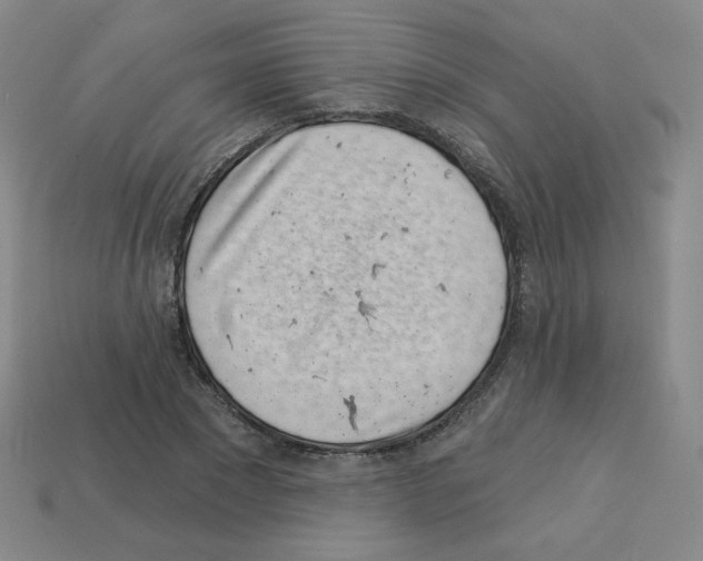 X0000112760881200910011213