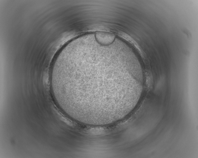 X0000112760882200910011213