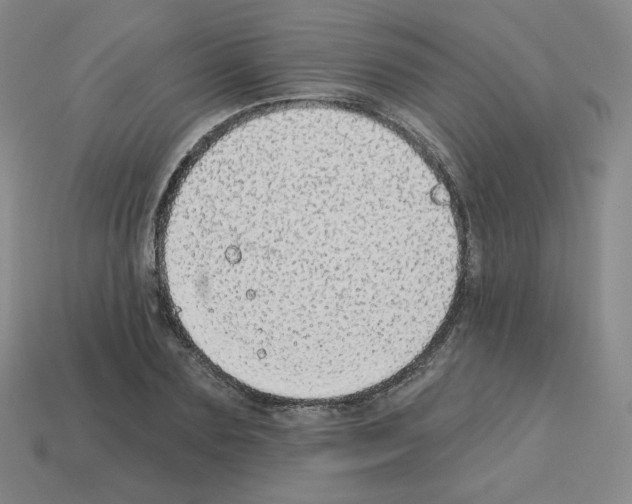 X0000112760883200910011213