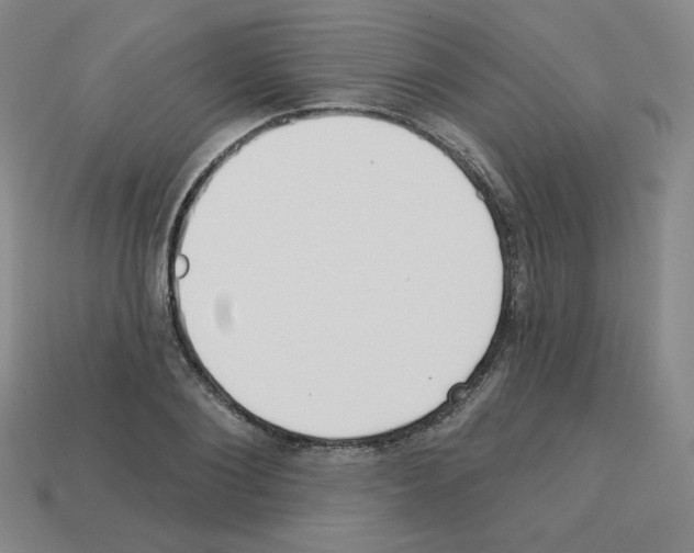 X0000112760884200910011213