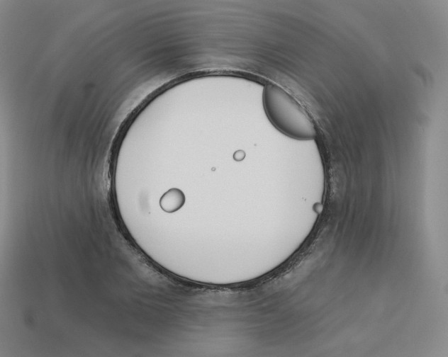 X0000112760885200910011213