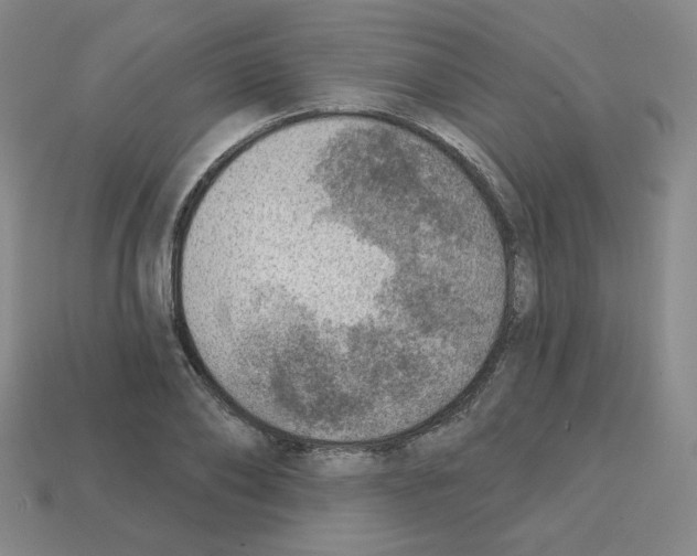 X0000112760886200910011213
