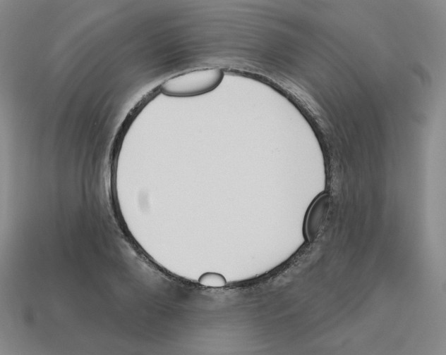 X0000112760888200910011213