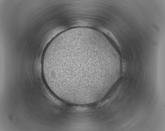 X0000112760890200910011213