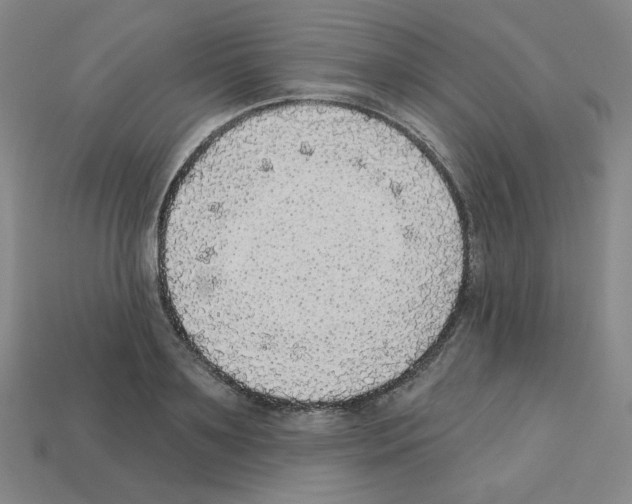 X0000112760891200910011213