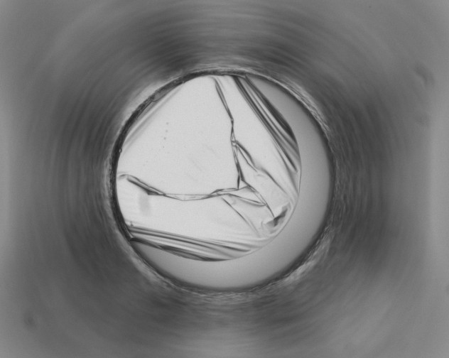 X0000112760893200910011213