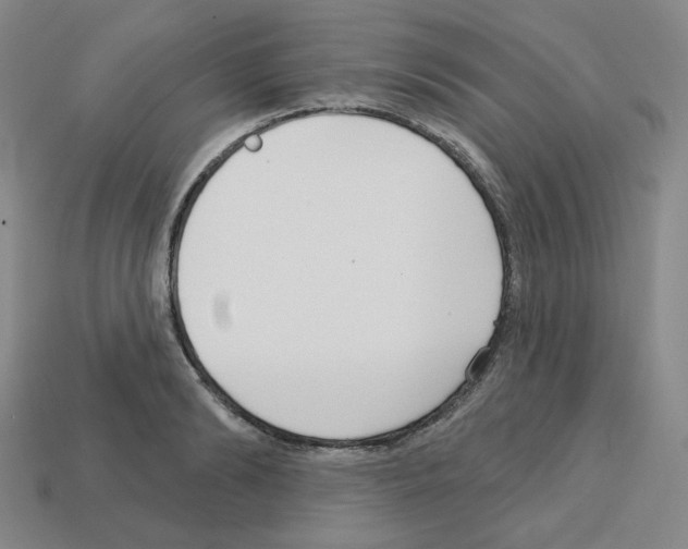 X0000112760894200910011213
