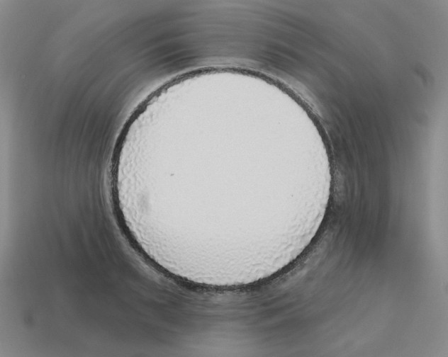 X0000112760895200910011213